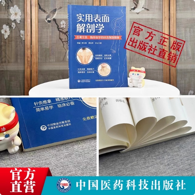 实用表面解剖学人体透视图骨骼肌