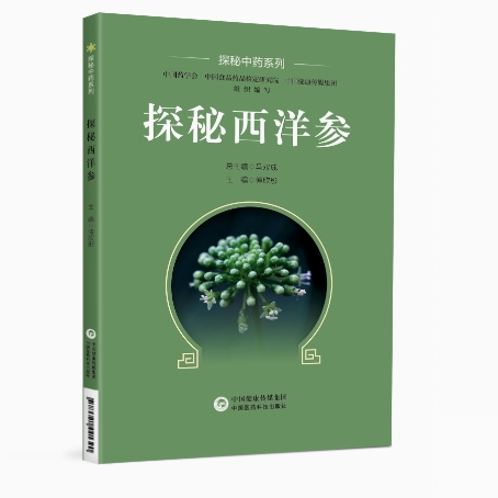 探秘西洋参探秘中药西洋参