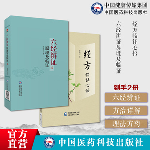 中医临床六经辨证原理及临证赵绍琴高足殷晓明著临证方治详解张仲景经方六经辨证六经辨治经方临证心悟薛蓓云理法方药实践伤寒金匮