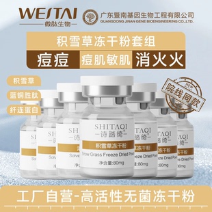 诗踏绮积雪草冻干粉保湿祛控油修护痘痘肌粉刺闭口痘印痘坑女男士