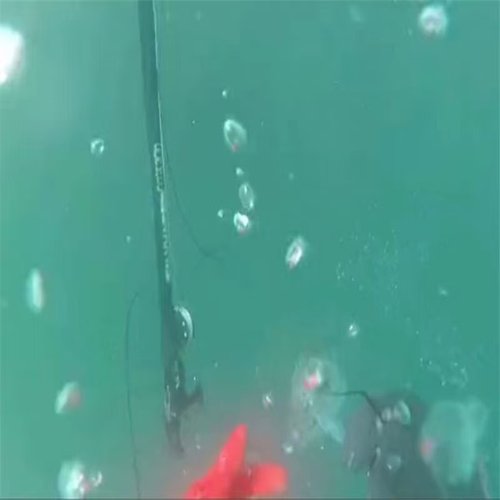 潜水鱼枪 水下射鱼器