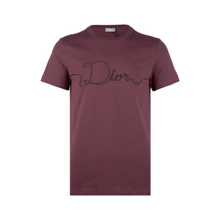 T恤男2026年新品 棉质平纹刺绣圆领短袖 捡漏 迪奥男士 Dior