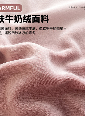筱彤A类牛奶绒床单单件冬季法兰珊瑚绒加绒加厚绒毛毯单人枕套