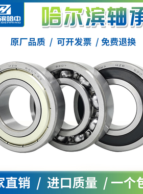 哈尔滨轴承大全6200 6201 6202 6203 6204 6205 6206 6207 2RS ZZ