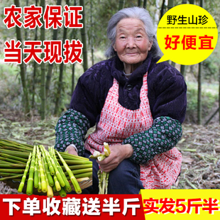 新鲜小竹笋野生水竹笋当天江西春笋现挖手剥笋子山笋甜笋竹笋新鲜