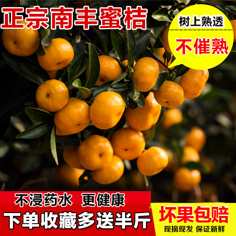 正宗南丰蜜桔 新鲜现摘江西特产水果精品 桔子蜜橘市山小橘子礼品,水产肉类/新鲜蔬果/熟食,桔子,淘宝优惠券,粉丝福利购,淘宝优惠卷