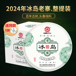 【整提囤】勐傣 2024冰岛老寨头春纯料古树普洱生茶1000克整提