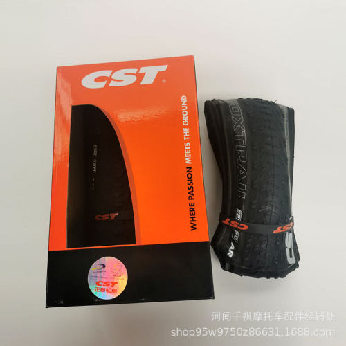 德国进口正新CST自行车轮胎C-FT1折叠山地车外胎275*195公路骑行
