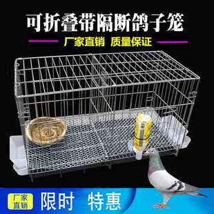 新型鸽子笼养鸽子专用笼大号特大折叠白鸽繁殖笼家用养殖鸟笼巢窝