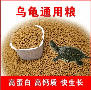 龟粮小乌龟黄缘乌龟饲料中华草龟金线龟饲料黄耳龟粮巴西龟苗饲料