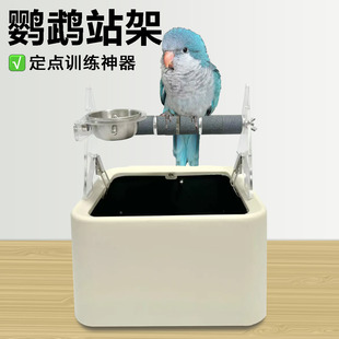玄凤小太阳鹦鹉专用垃圾桶站架拉粑站架鹦鹉定点训练定点排便站架