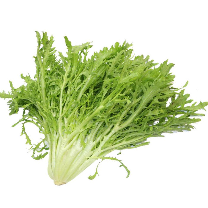 ÐÂÏÊ¿à¾Õ 500g ÐÂÏÊÊß²Ë Ò¶²ËɳÀ²Ë¿àÒ¶²Ë ¿àÜIJËÉú²Ë Á¹°è²Ë