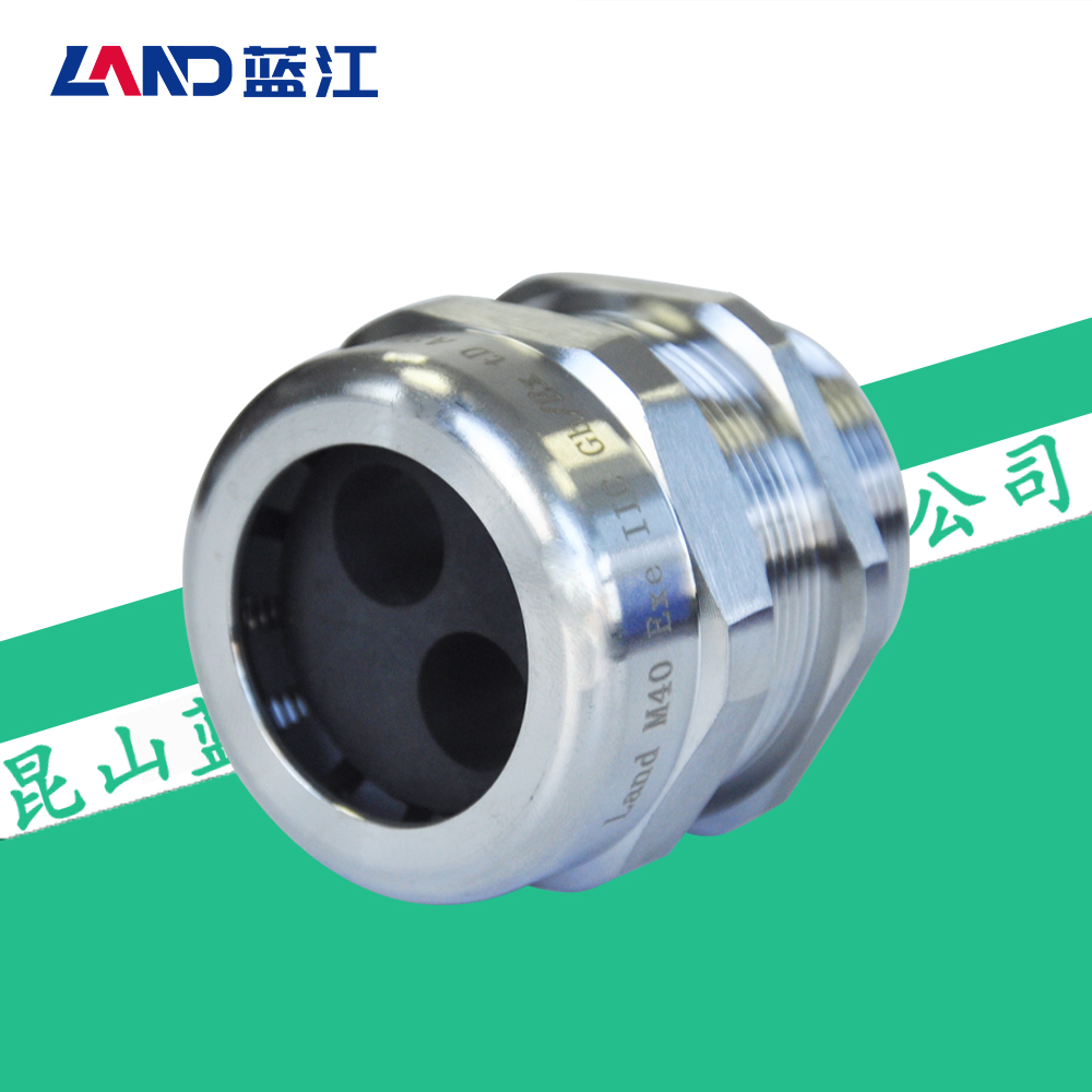 蓝江 二孔防爆不锈钢防水接头304双孔电缆格兰头螺纹多芯密封接头