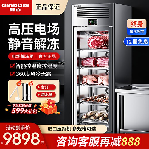 【低温解冻】高压静电商用解冻柜