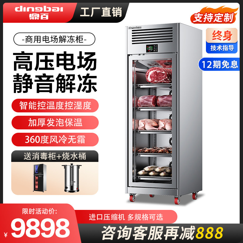 鼎百商用解冻柜高压静电低温冷藏大容量抑菌猪羊牛肉化冻机排酸柜