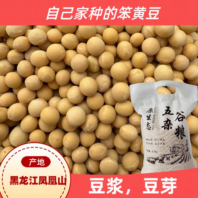 25年新黄豆非转基因东北农家自种老品种大豆发豆芽打豆浆专用豆