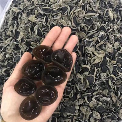 25年新木耳东北小碗耳黑木耳秋耳肉厚无根25年新干货500克