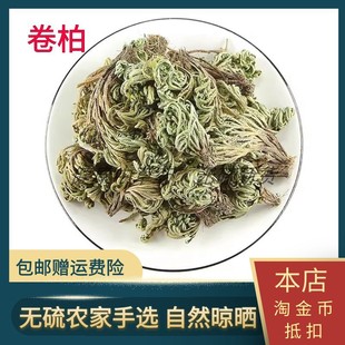 卷柏中药材正品精选散装优质九死还魂草免费打粉500g包邮批包邮发
