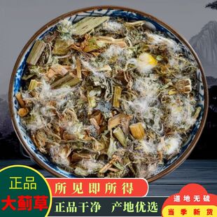 大蓟草中药材 大刺儿菜 马蓟 虎蓟 刺蓟 野刺菜500g包邮 优选干净