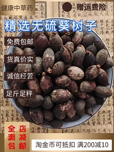 葵树子中药材新货正品葵扇籽正品葵树籽硫葵树果子蒲葵子500g包邮