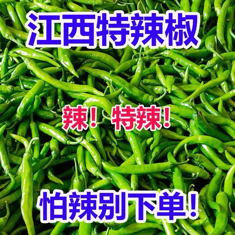 江西农家现摘新鲜青杭椒薄皮本地土辣椒青杭椒微辣 虎皮辣椒