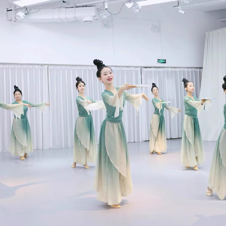 醉清波舞蹈演出服绿萝裙剧目舞古典舞飘逸套装裙裤渐变纱衣中国舞