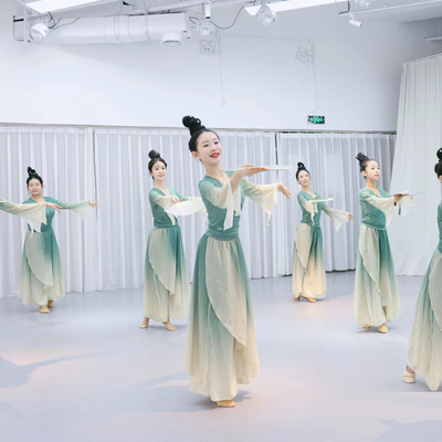 醉清波舞蹈演出服黄金葛裙剧目舞中国舞飘逸套装裙裤渐层纱衣古典