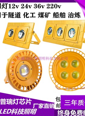 led防爆灯隧道灯煤矿井低压12v24v36v加油站220v投光灯50w100w