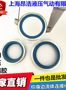 BS/A自定芯组合垫圈密封垫公英制M6-60橡胶金属垫片油管接头耐油