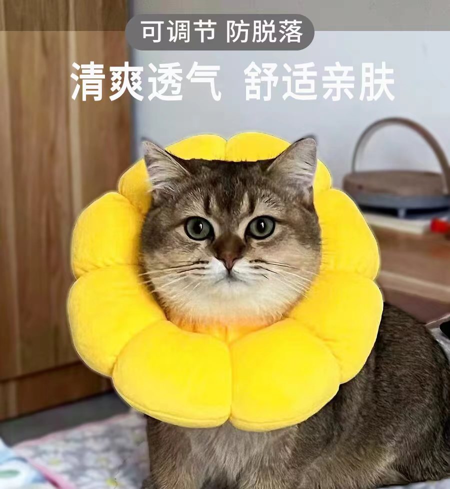 猫绝育项圈防舔除跳蚤英短猫咪脖圈颈圈头套狗宠物用品伊丽莎白圈