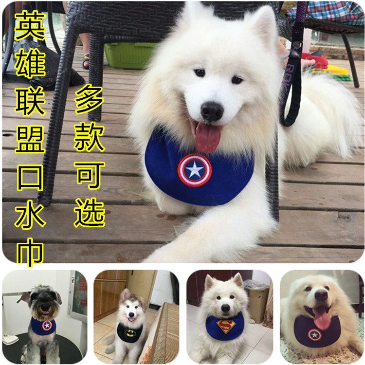 狗狗超人美国队长宠物大型犬金毛