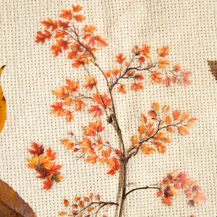 言己岁月枝丫系列pet贴纸树叶枝条主题diy造景装饰素材咕卡贴画