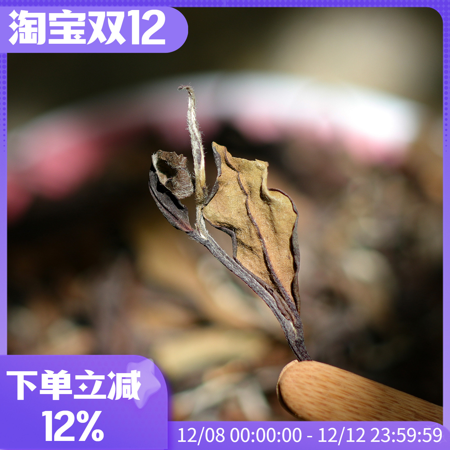 磻溪核心产区2019老树贡眉