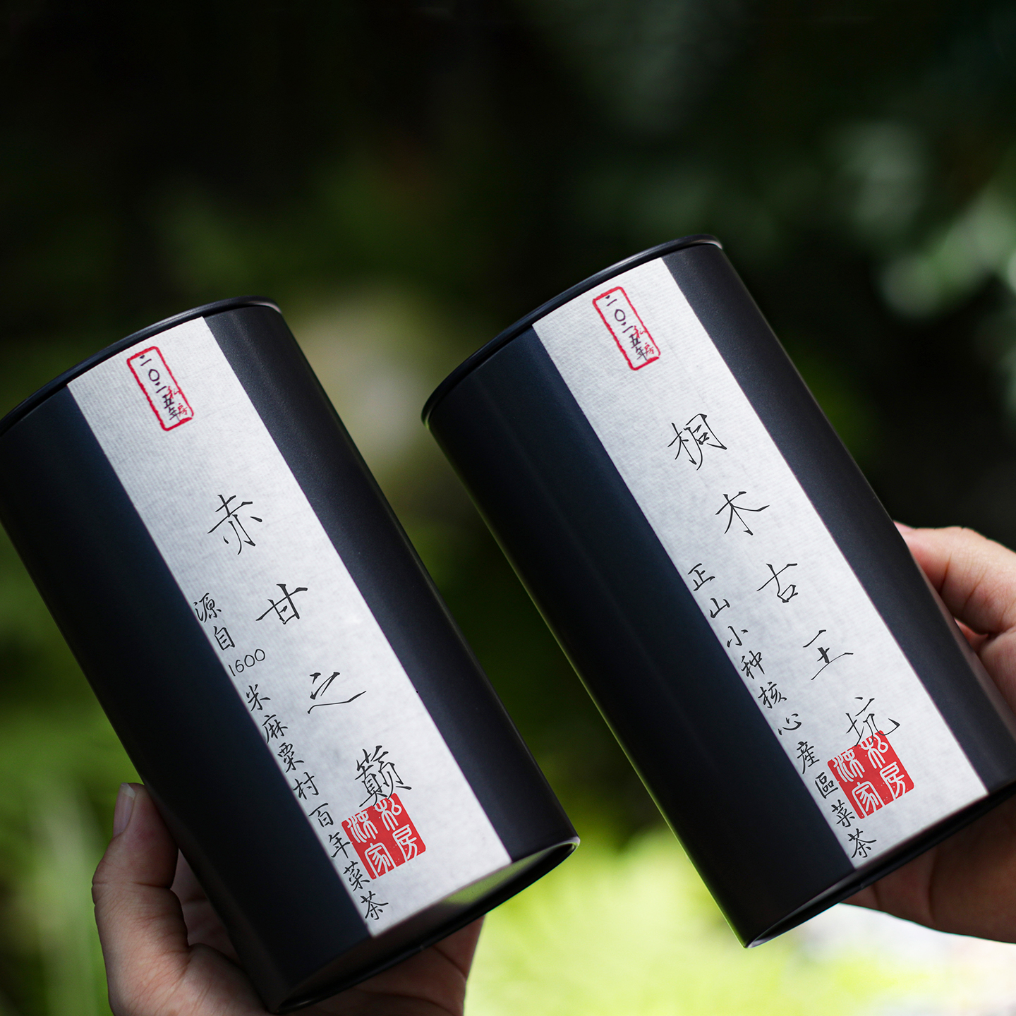 正山小种核心产区古王坑