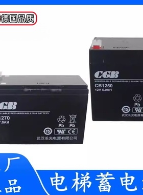杭西奥电梯救援装置蓄电池松闸电源CGB武汉长光CB1250/1270/1240
