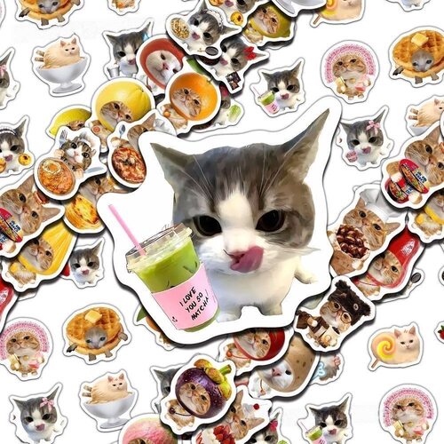 76张美食猫猫meme可爱贴纸