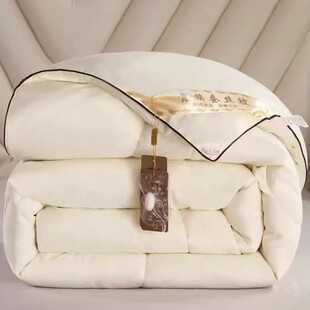 加厚被子冬被保暖春秋空调被结婚丝棉被芯可水洗空调被夏凉被结婚