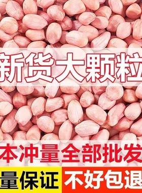 新鲜2025新白沙花生米当地特产生花生米精选大颗粒无壳花仁批发