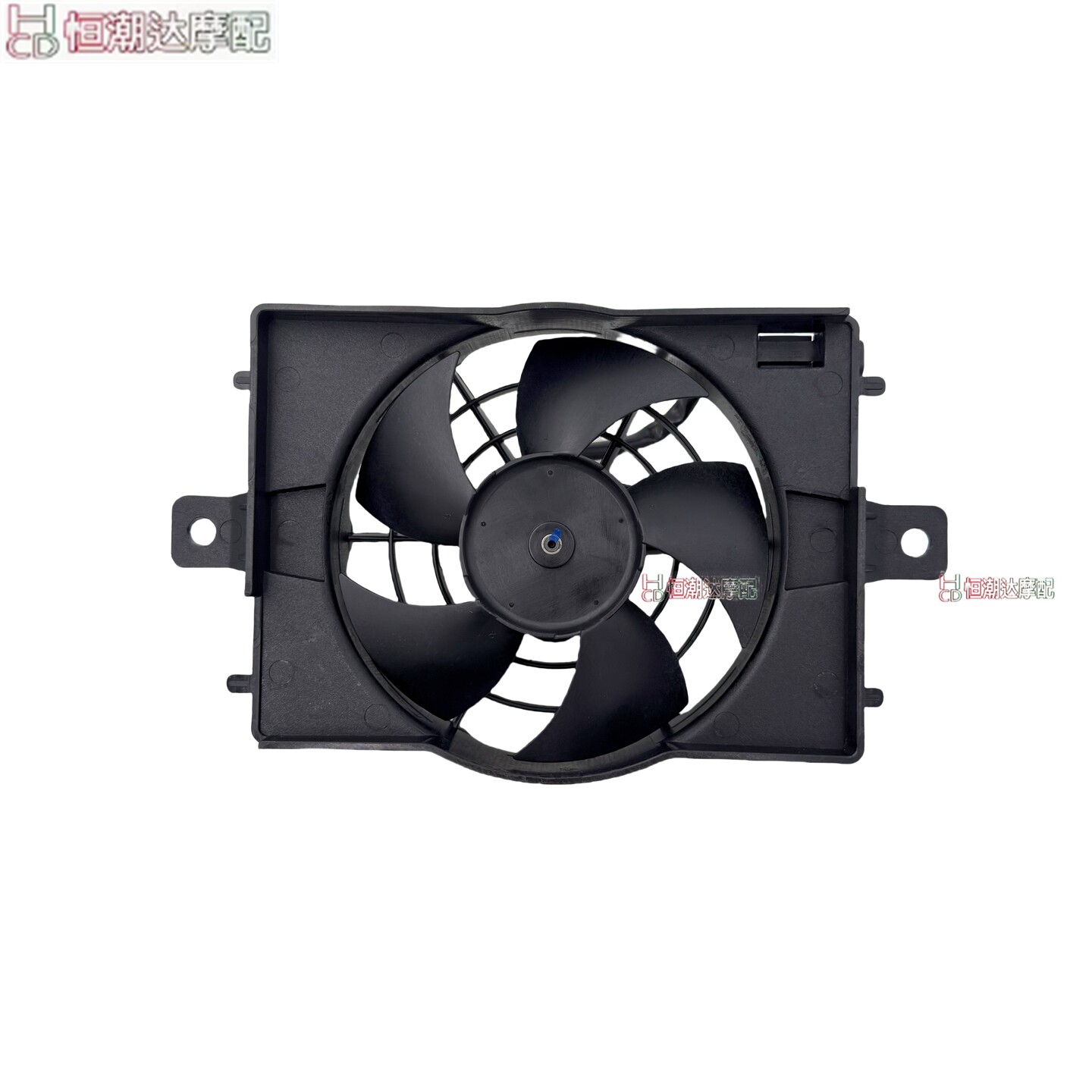 适用宝马R1250 R1200GS 水鸟ADV-RT摩托车水箱散热器风扇总成配件