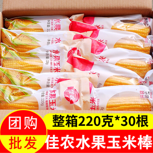 整箱装佳农水果甜玉米棒30根免煮真空装开袋即食非转基因玉米包邮