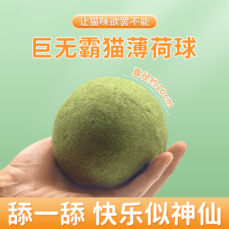 猫薄荷舒缓压力快乐加倍图片