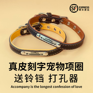牛皮刻字猫牌项圈定做防丢身份牌金毛泰迪可爱宠物调节颈脖套铃铛