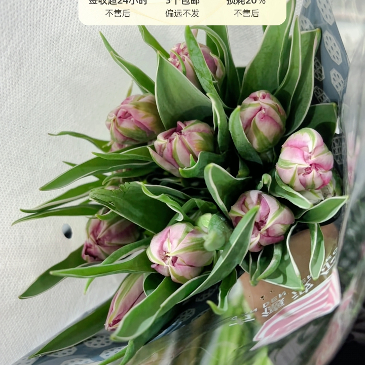 糖浆布丁任选3单包邮