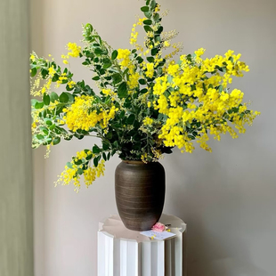 银叶金合欢新年鲜花云南直发家庭客厅水养鲜切花顺丰冷链包邮