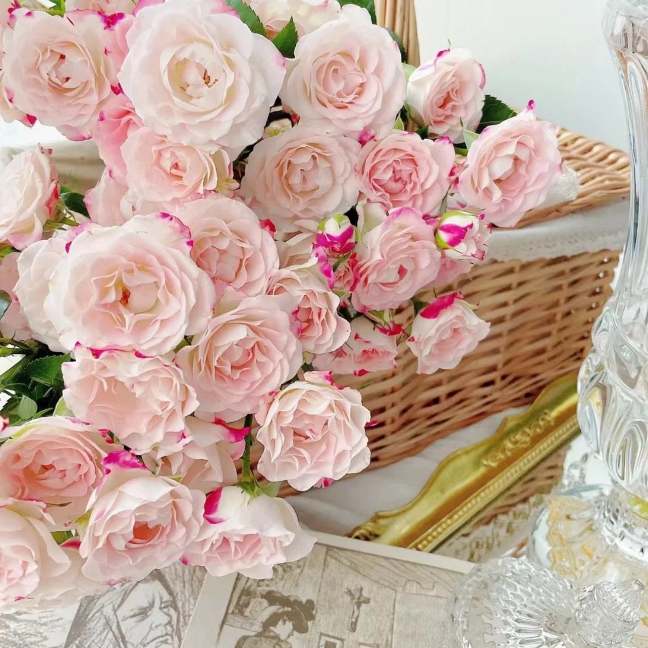 多头蔷薇玫瑰黄蝴蝶折射浪漫爱人泡泡家庭水养鲜切花云南基地直发