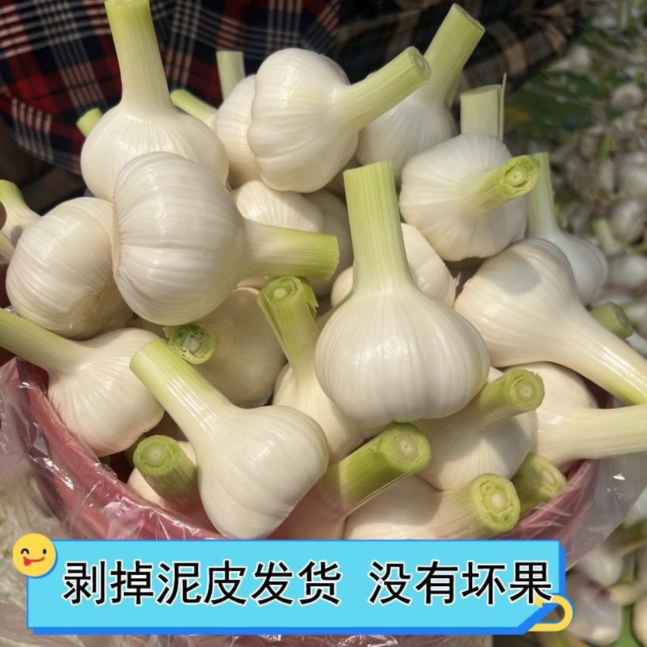 新鲜白皮鲜蒜湿蒜可以糖醋蒜辣八蒜当季新鲜白皮蒜农家去泥削茎盘