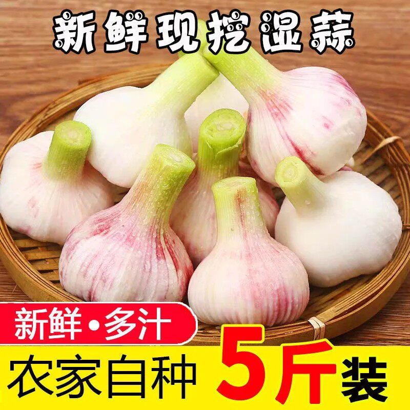 农家当季新蒜剥净皮红心紫皮大蒜大蒜