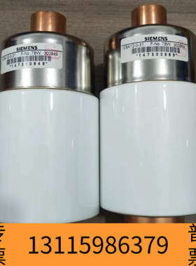 众桦VSA12-0-31真空搅拌器