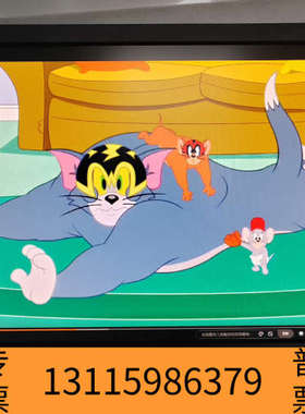 众桦EIZO FlexScan S2433W