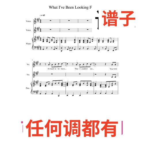 7A What_Ive_Been_Looking_For伴奏谱正谱声乐